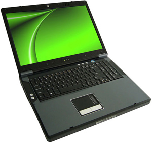 typical gaming laptop